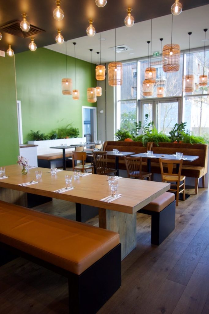 Banquettes marrons, longues tables en bois, chaises en bois et grandes vasques remplies de plantes vertes