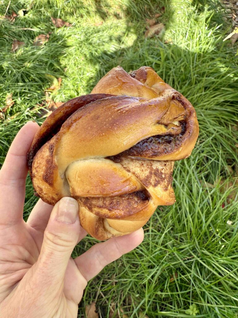 Gros plan sur un roulé à la cannelle, herbe dans le fond