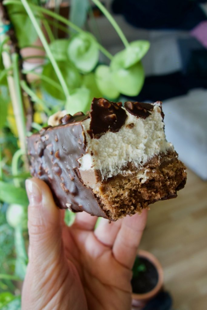 gâteau au chocolat, biscuit et mousse noisettes vegan