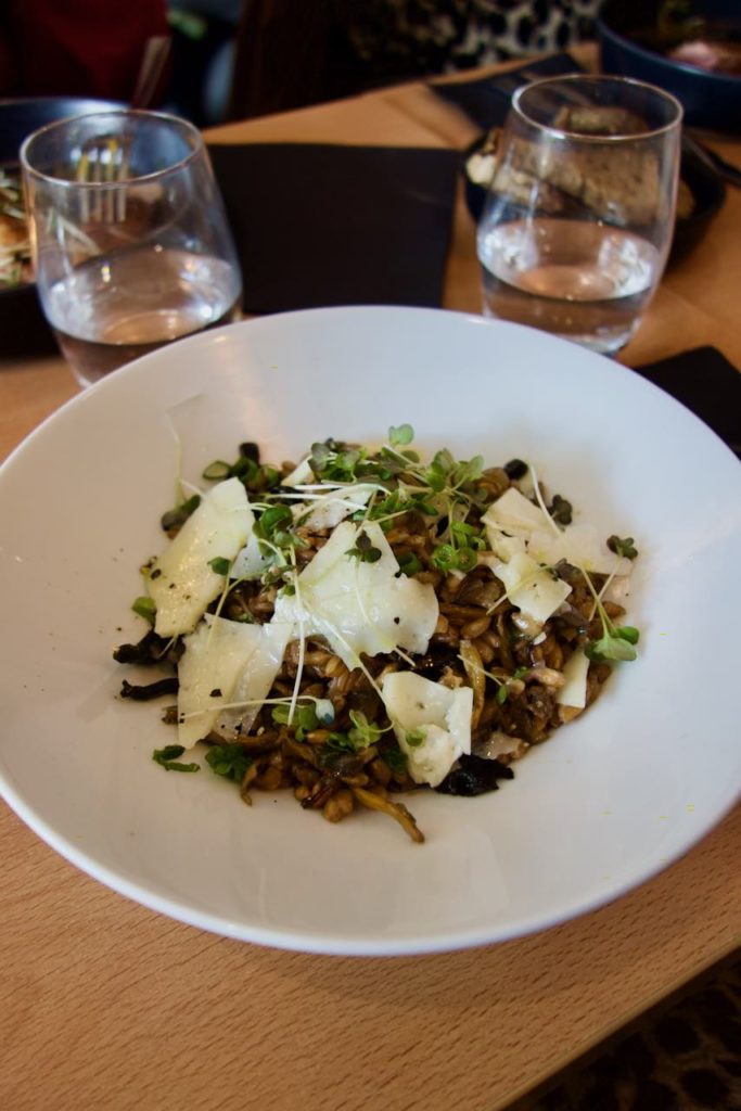 Risotto de farro, pecorino et champignons dans une large assiette blanche et creuse