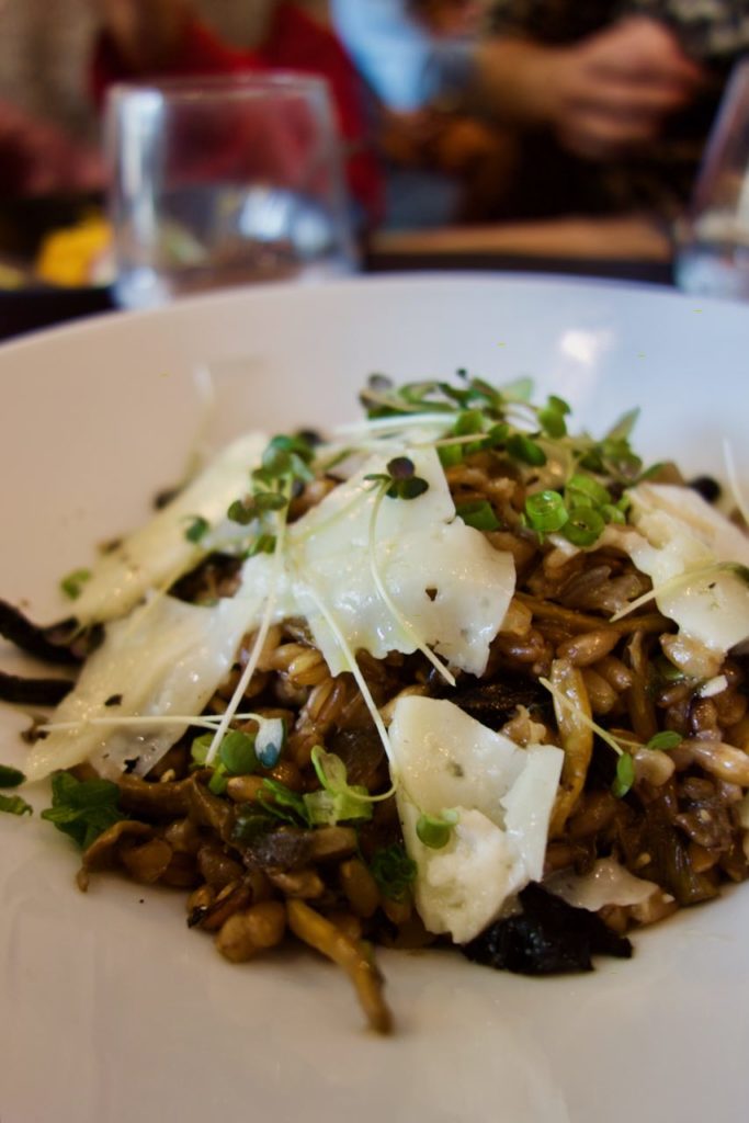 Vue rapprochée du Risotto de farro, pecorino et champignons