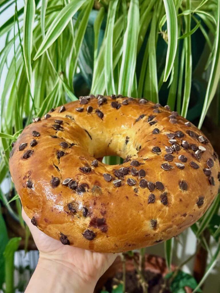 Brioche des rois avec pépites de chocolat