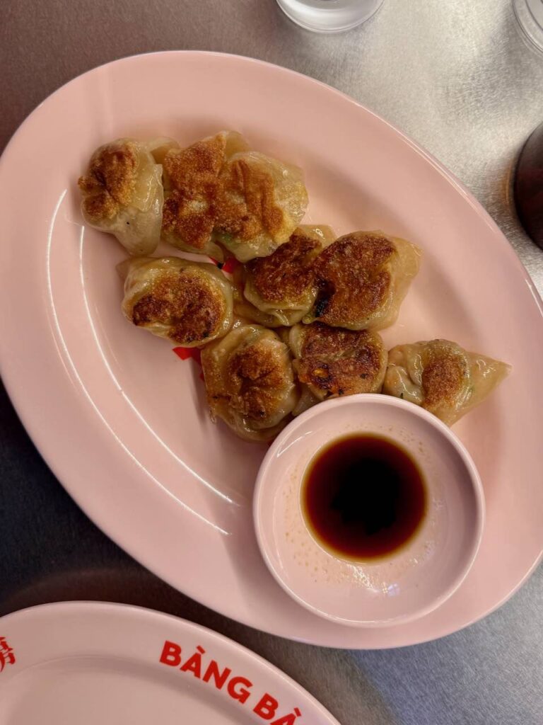 9 jiaozji et leur sauce vus du dessus dans une assiette ovale blanche